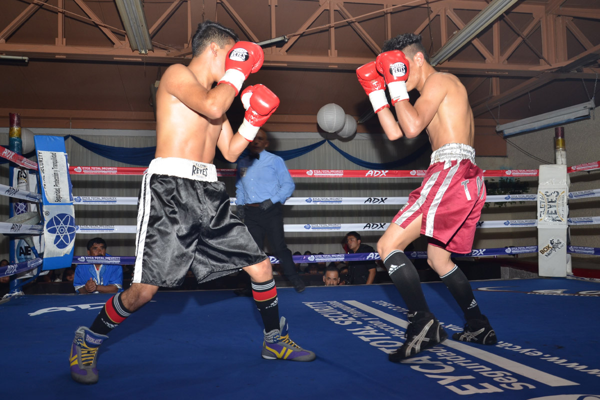 lcpromotions-2015 Nosotros