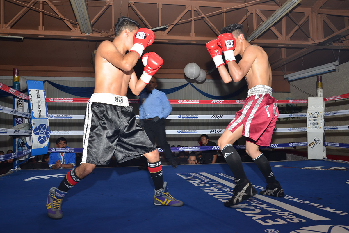lcpromotions-2018 Nosotros